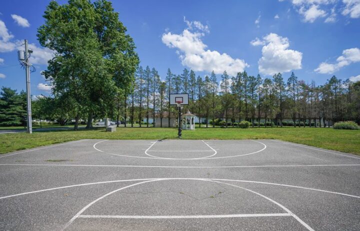  Basketball-Courts-800x533 